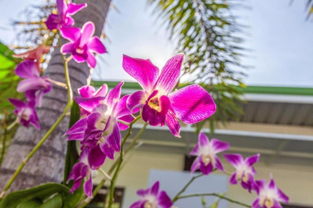 Oyo 450 Rawai Studios Resort Экстерьер фото